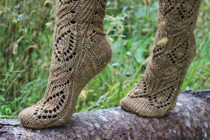 Autumn Field Socks