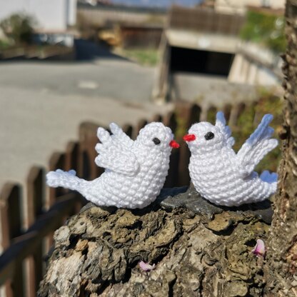 Doves of Peace in Love