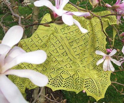 Rosemarie's Garden Shawl