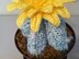 Bishop Cactus crochet