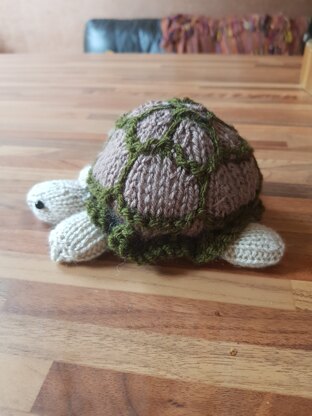 Lilah's Tortoise