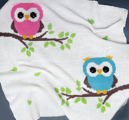 CROCHET - Two Owls Baby Blanket / Afghan