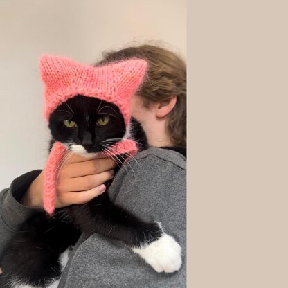 Cat hat for cat with kitty ears