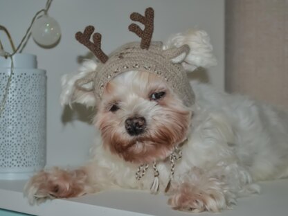 Reindeer dog hood, Crochet Pattern PDF, Size: XS for small dog. Language - English