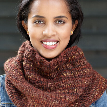 Briarcliff Cowl in Lion Brand Wool-Ease Thick & Quick - 90573B