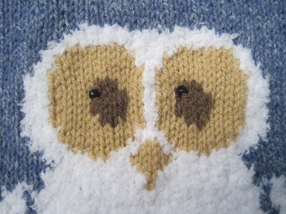 Oliver Owl - Child's Sweater