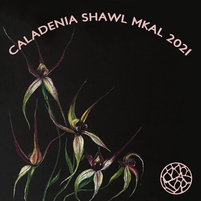 Caladenia Shawl