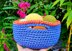 Small Basket with Handles