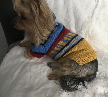 Colored Dog or Cat Sweater