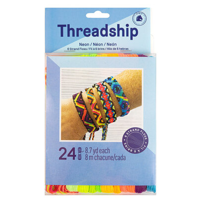 DMC Threadship 6-Strand Polyester 24 Skein Pack