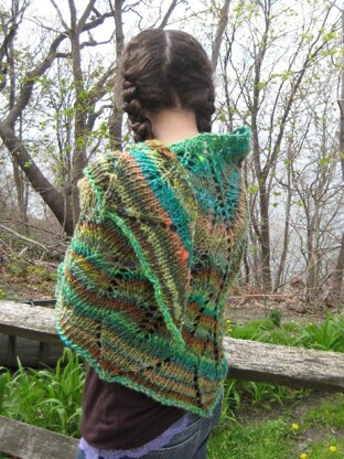 Cutting Ferns Shawl