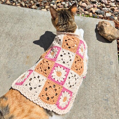 Daisy Cat Sweater