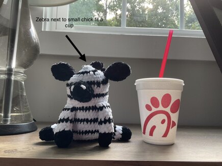Zebra #5
