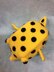 Sea Creatures Boxfish