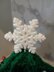 The Evergreen Christmas Tree
