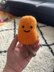 Baked Bean Buddy