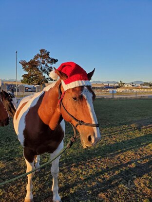 Horse Santa Hat