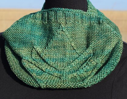 Agave Cowl