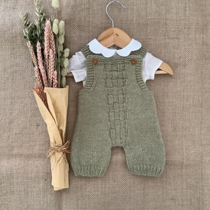 Autumn Overalls