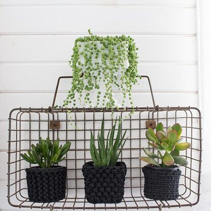 Project : 3 Plant Cozies