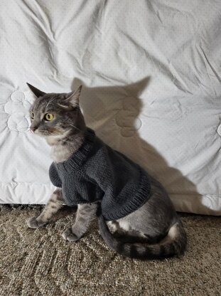 Basic pet sweater shirt