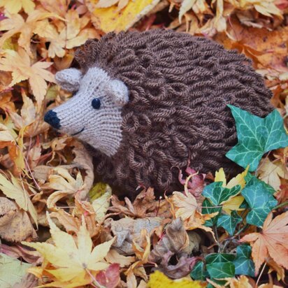 Hector the Hedgehog - knitting pattern