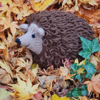 Hector the Hedgehog