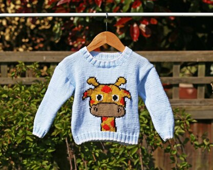 Georgy the Giraffe Jumper/Sweater