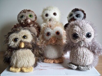 Owl Babies