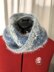 Sleigh Ride Cowl