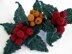 English Holly Applique