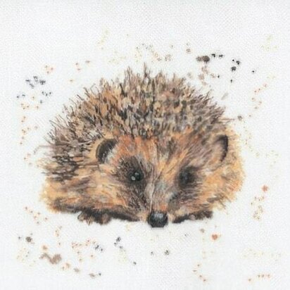 Creative World of Crafts Harley the Hedgehog