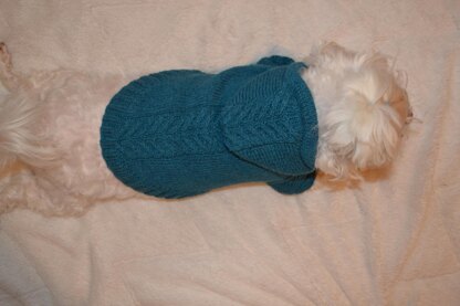 Sport hoodie clothes for dog