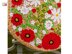 Bright summer bag with poppies