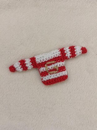 Mini sweater (jumper)