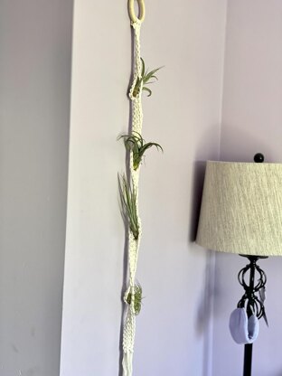 Tillandsia Garden Hanger