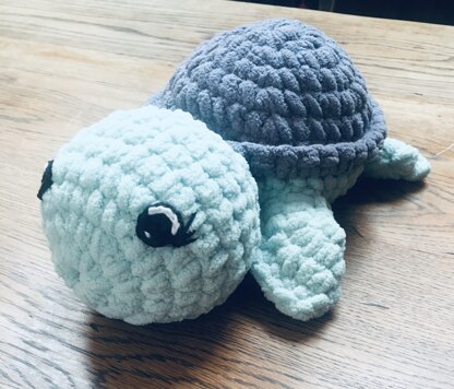 Terence and Tina the Turtle