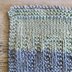 YOLO Dishcloth
