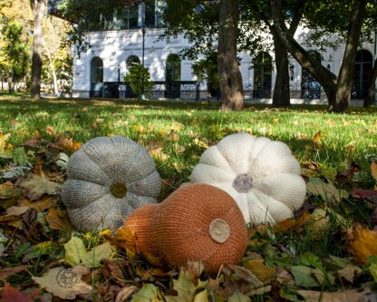 Three Halloween pumpkins