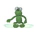 Frogs and Bugs
