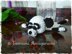 Häkelanleitung für Pandabären-Untersetzer