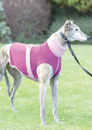 Dog Coats in Hayfield Aran With Wool and Snuggly Snowflake Chunky - 7261 - Downloadable PDF