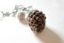 028-Decorative Pinecone