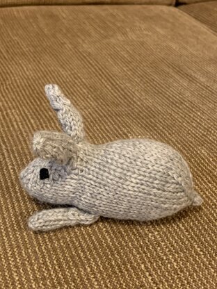 Grey Bunny