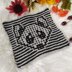 Raccoon Dishcloth