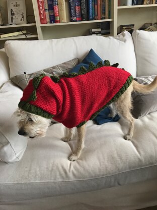 Dragon Slayer Dog Sweater for Sadie