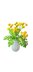 Crochet Tansy flowers