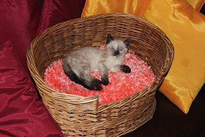 Cat Basket Fluffy Cushion (Pillow)