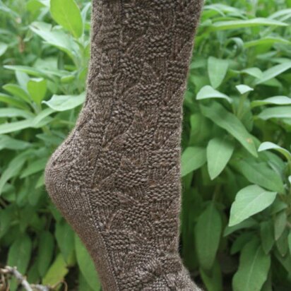 Yakka Dabba Bamboo Socks