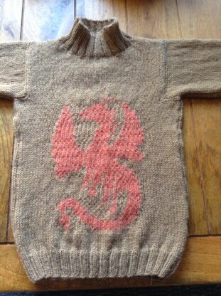 Charlie's dragon sweater